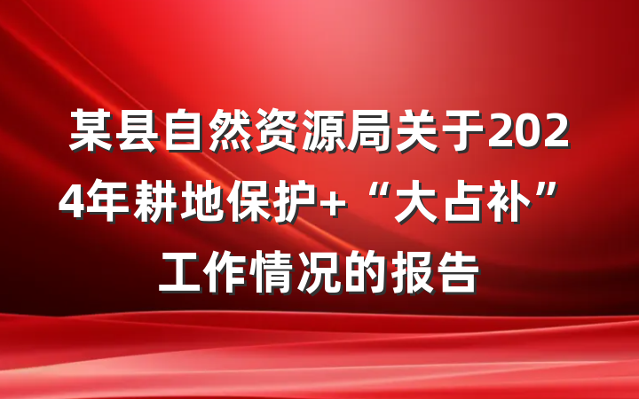 某县自然资源局关于2024年耕地保护 “大占补”工作情况的报告