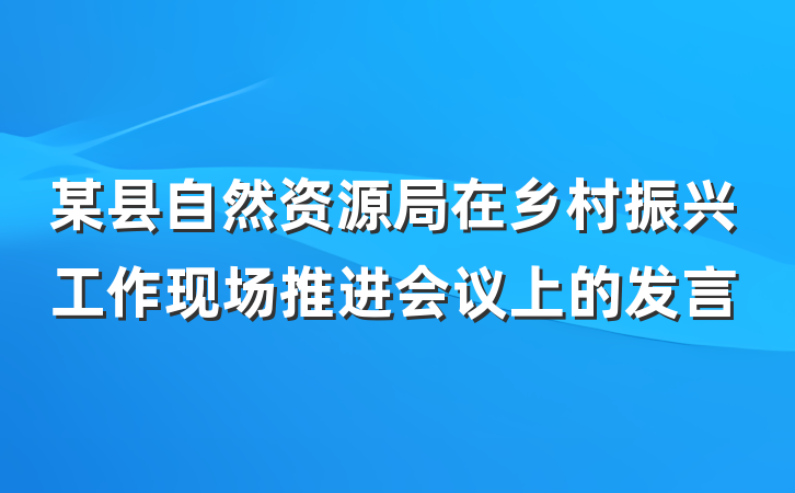 某县自然资源局在乡村振兴工作现场推进会议上的发言
