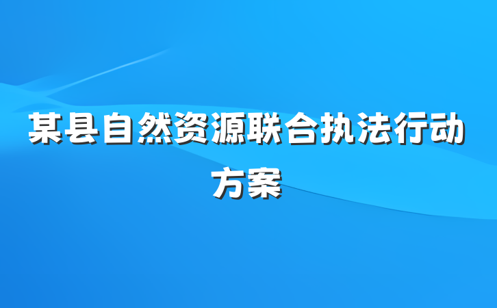 某县自然资源联合执法行动方案