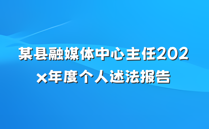 某县融媒体中心主任202x年度个人述法报告