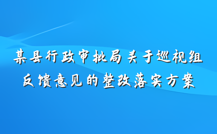 某县行政审批局关于巡视组反馈意见的整改落实方案