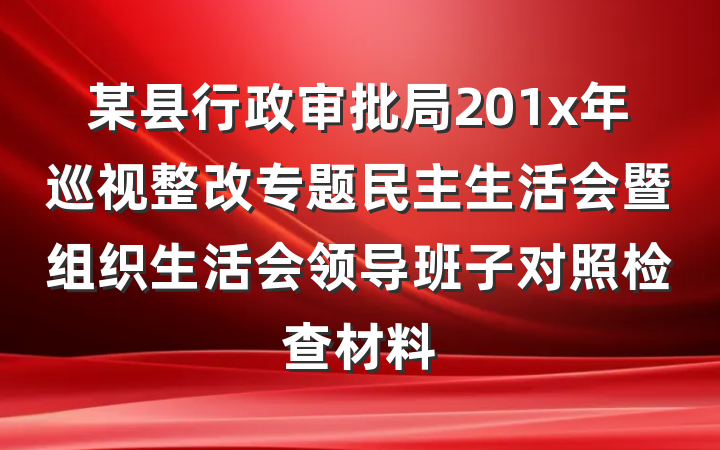 某县行政审批局201x年巡视整改专题民主生活会暨组织生活会领导班子对照检查材料