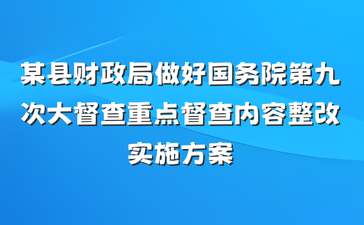 某县财政局做好国务院第九次大督查重点督查内容整改实施方案