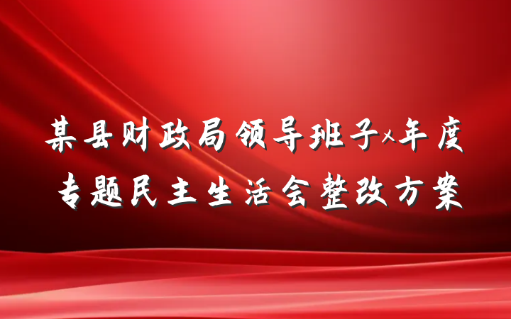 某县财政局领导班子x年度专题民主生活会整改方案