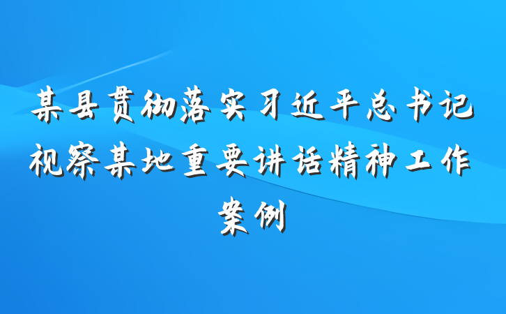 某县贯彻落实习近平总书记视察某地重要讲话精神工作案例