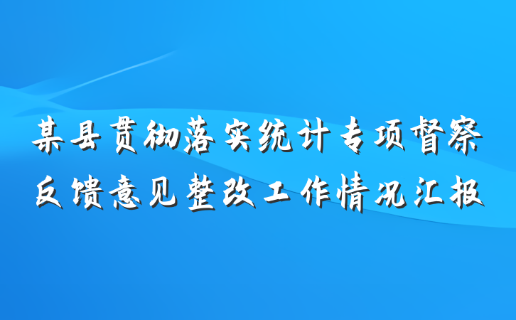 某县贯彻落实统计专项督察反馈意见整改工作情况汇报
