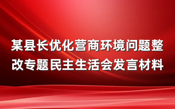 某县长优化营商环境问题整改专题民主生活会发言材料
