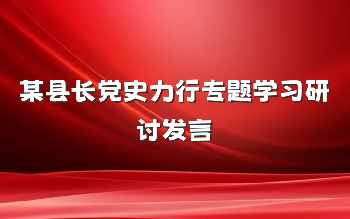 某县长党史力行专题学习研讨发言