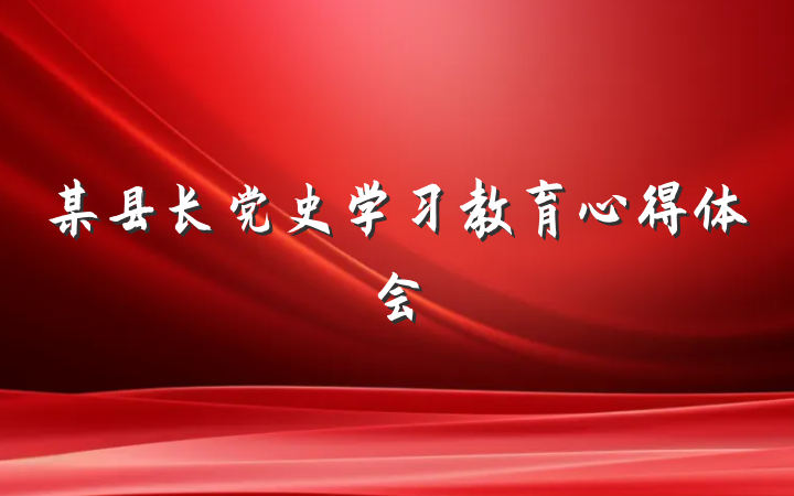 某县长党史学习教育心得体会