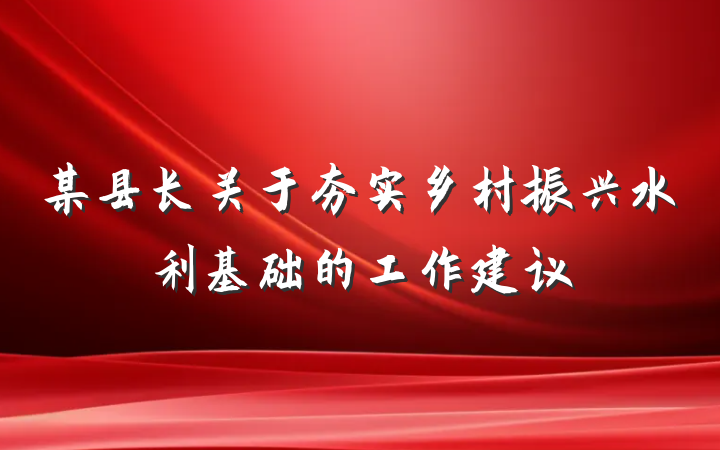 某县长关于夯实乡村振兴水利基础的工作建议