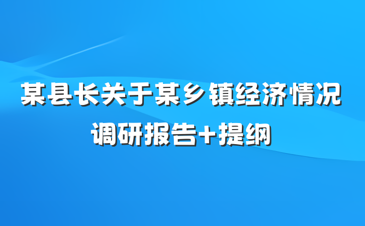 某县长关于某乡镇经济情况调研报告 提纲