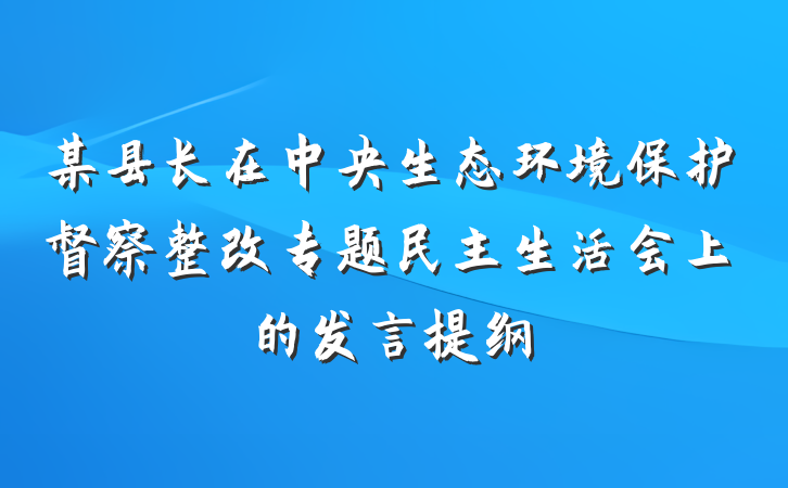 某县长在中央生态环境保护督察整改专题民主生活会上的发言提纲