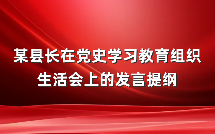 某县长在党史学习教育组织生活会上的发言提纲