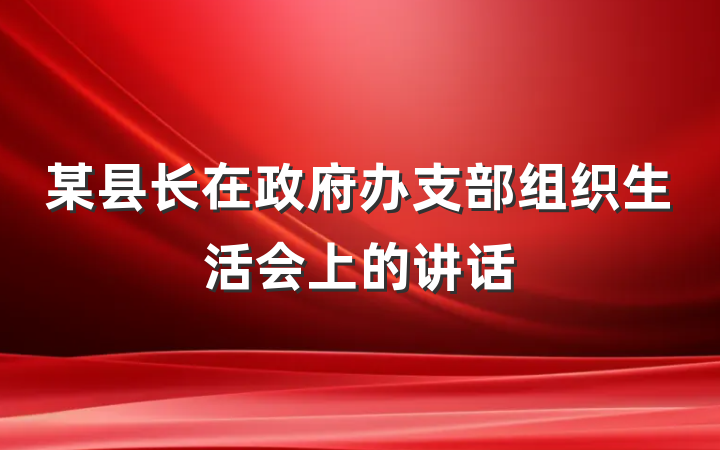 某县长在政府办支部组织生活会上的讲话