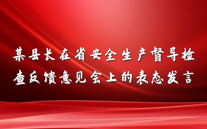 某县长在省安全生产督导检查反馈意见会上的表态发言