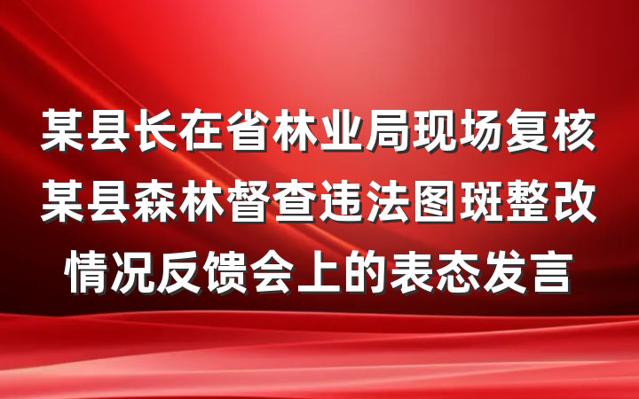 某县长在省林业局现场复核某县森林督查违法图斑整改情况反馈会上的表态发言
