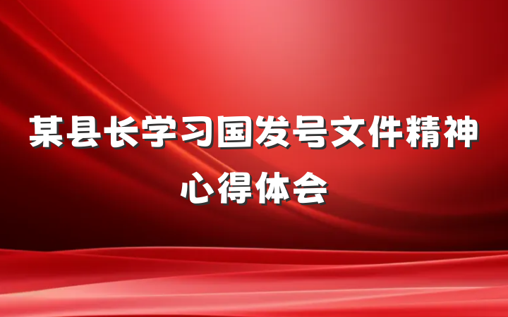 某县长学习国发号文件精神心得体会