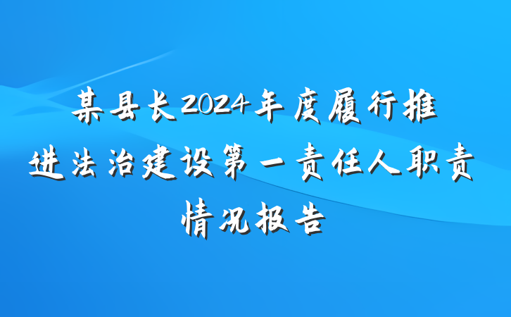 某县长2024年度履行推进法治建设第一责任人职责情况报告
