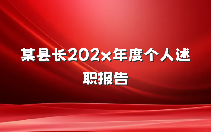 某县长202x年度个人述职报告
