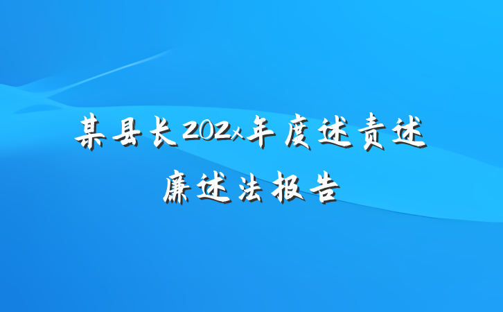某县长202x年度述责述廉述法报告