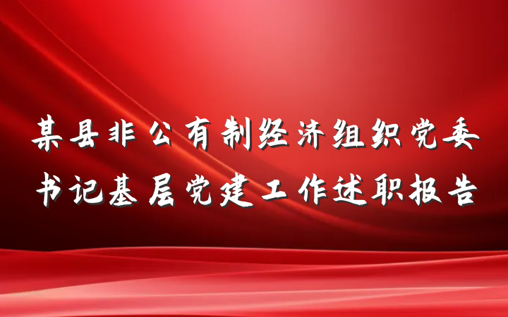 某县非公有制经济组织党委书记基层党建工作述职报告