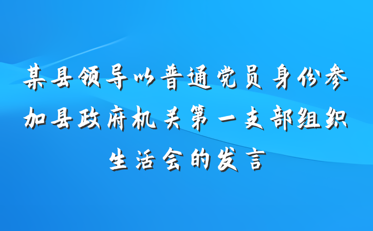 某县领导以普通党员身份参加县政府机关第一支部组织生活会的发言