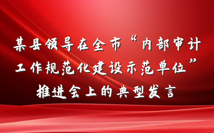 某县领导在全市“内部审计工作规范化建设示范单位”推进会上的典型发言