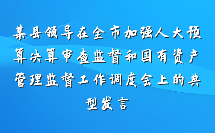 某县领导在全市加强人大预算决算审查监督和国有资产管理监督工作调度会上的典型发言