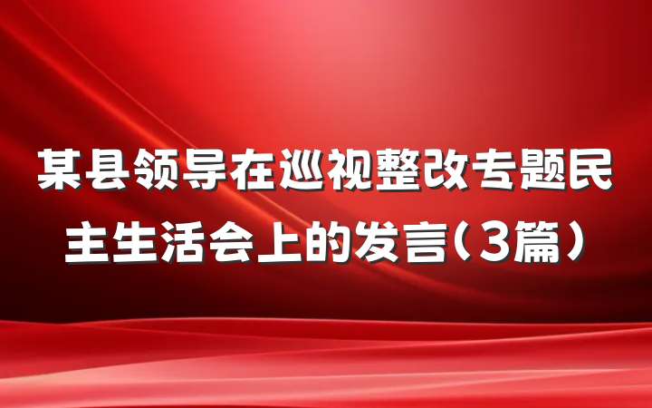 某县领导在巡视整改专题民主生活会上的发言（3篇）