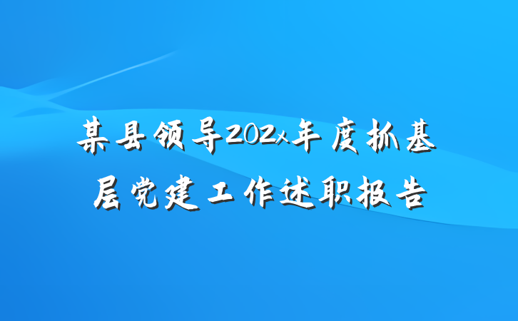 某县领导202x年度抓基层党建工作述职报告