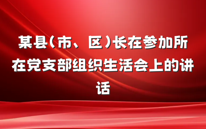 某县（市、区）长在参加所在党支部组织生活会上的讲话