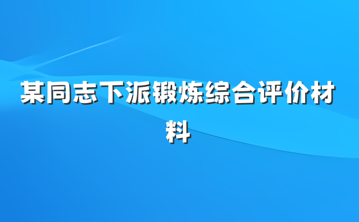 某同志下派锻炼综合评价材料