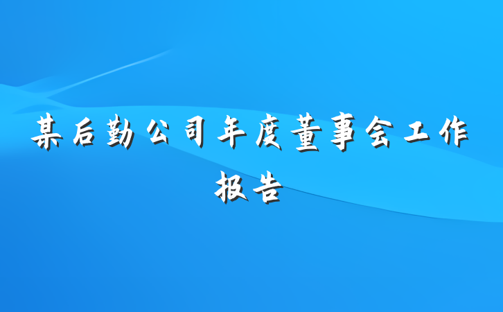 某后勤公司年度董事会工作报告