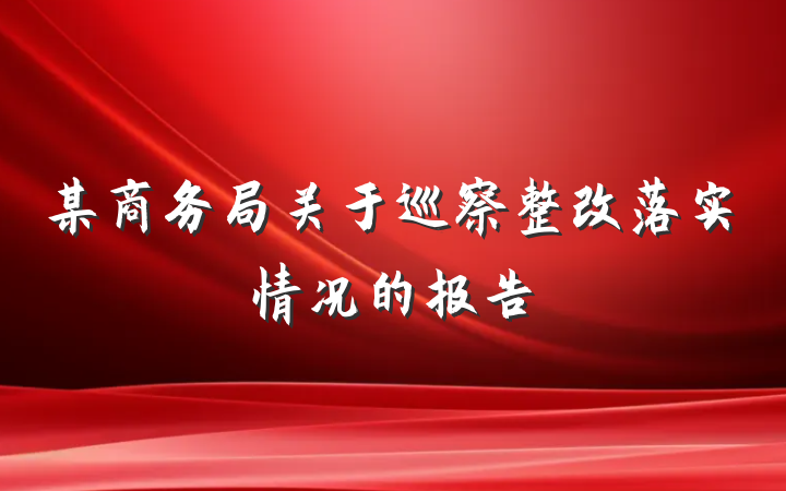 某商务局关于巡察整改落实情况的报告