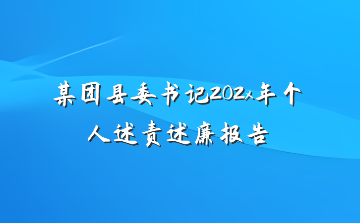 某团县委书记202x年个人述责述廉报告