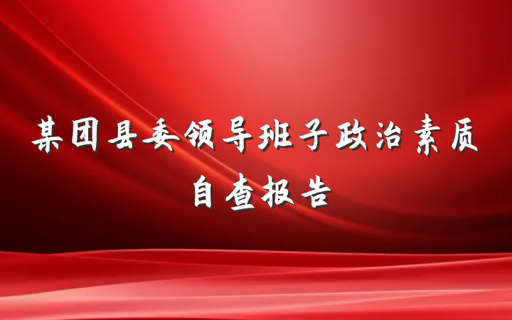 某团县委领导班子政治素质自查报告