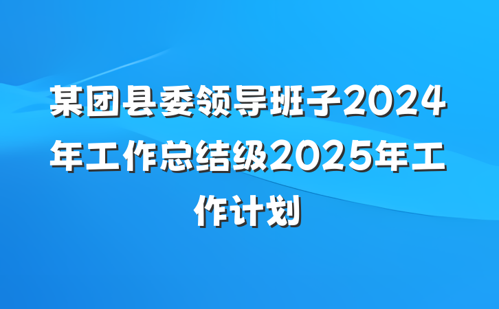 某团县委领导班子2024年工作总结级2025年工作计划