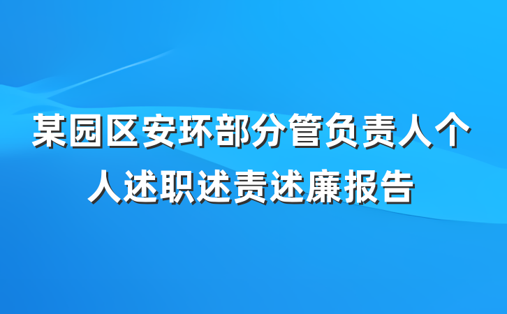 某园区安环部分管负责人个人述职述责述廉报告