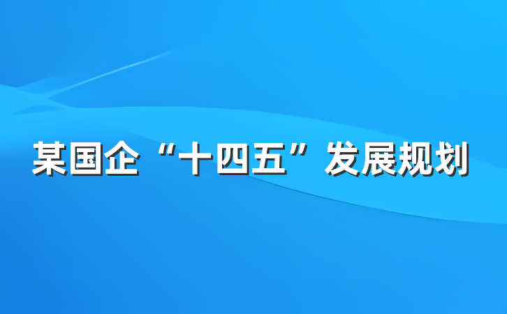 某国企“十四五”发展规划