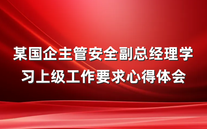 某国企主管安全副总经理学习上级工作要求心得体会