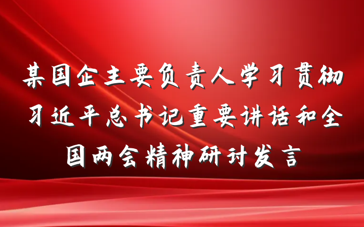 某国企主要负责人学习贯彻习近平总书记重要讲话和全国两会精神研讨发言