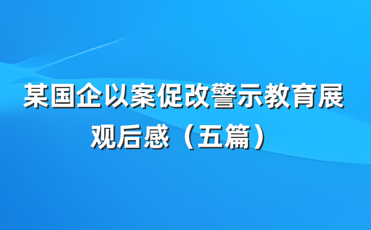 某国企以案促改警示教育展观后感（五篇）