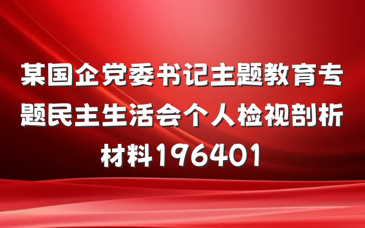 某国企党委书记主题教育专题民主生活会个人检视剖析材料196401