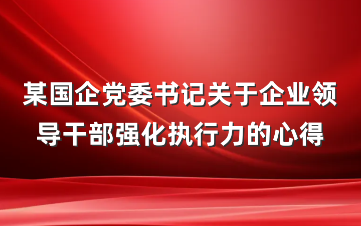 某国企党委书记关于企业领导干部强化执行力的心得