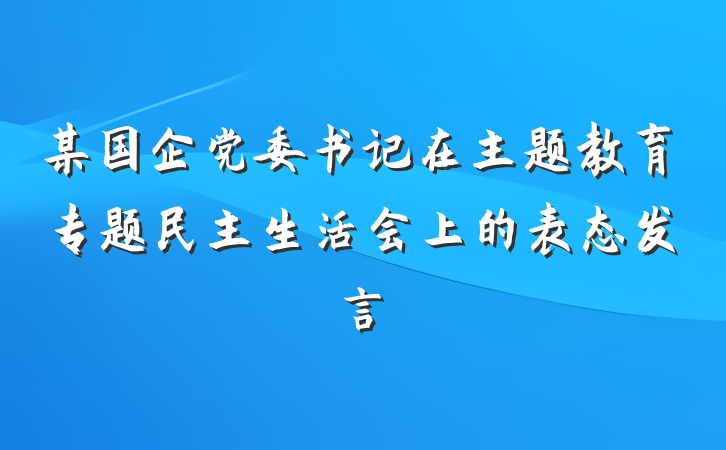 某国企党委书记在主题教育专题民主生活会上的表态发言