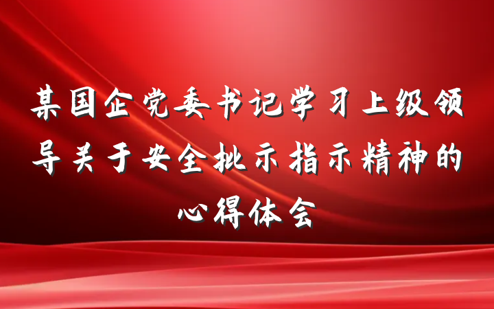 某国企党委书记学习上级领导关于安全批示指示精神的心得体会
