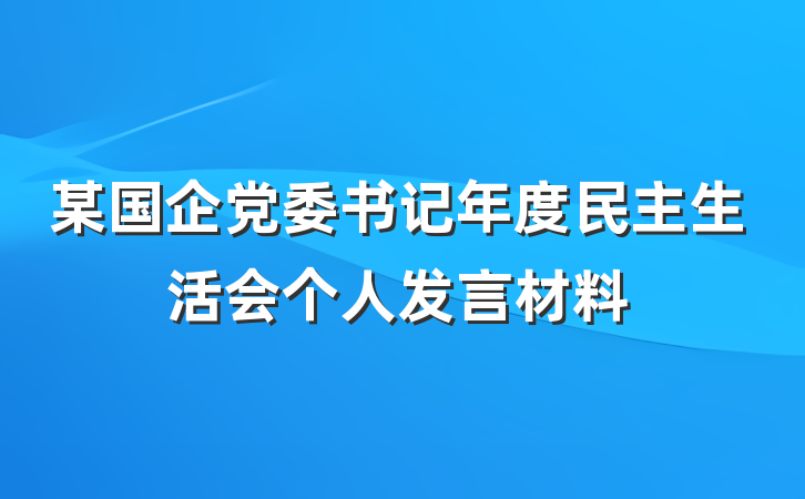 某国企党委书记年度民主生活会个人发言材料