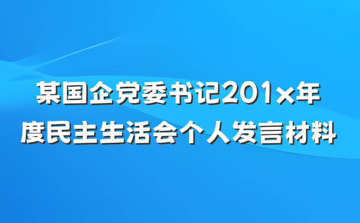 某国企党委书记201x年度民主生活会个人发言材料