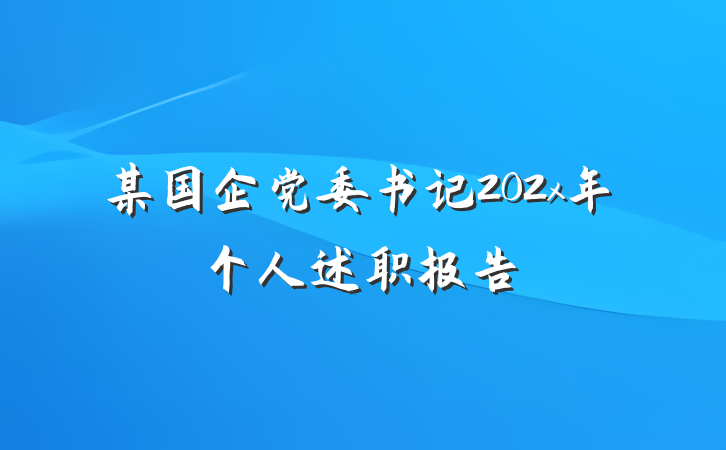 某国企党委书记202x年个人述职报告