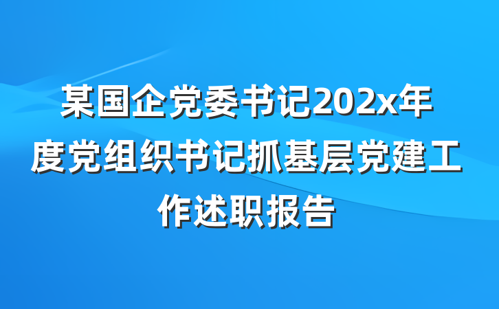某国企党委书记202x年度党组织书记抓基层党建工作述职报告
